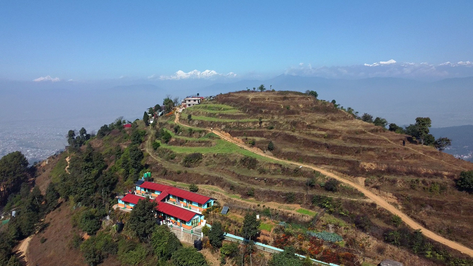Arogya Nepal Whole